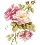 розовые светлые  (78) (140x160, 41Kb)